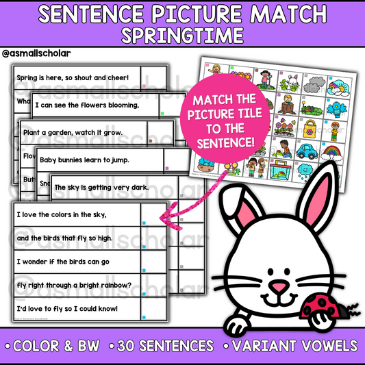 Spring Sentence Picture Match