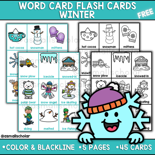 Winter-themed FLASH Cards (Word Cards)